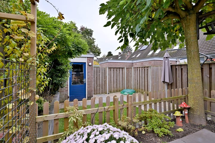 Foto 29 van Vlaamse gaai 6