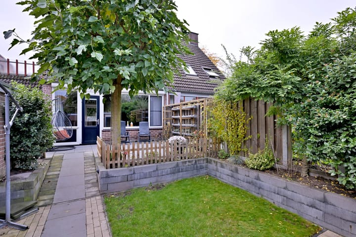 Foto 30 van Vlaamse gaai 6