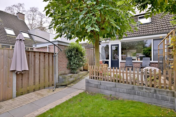 Foto 31 van Vlaamse gaai 6