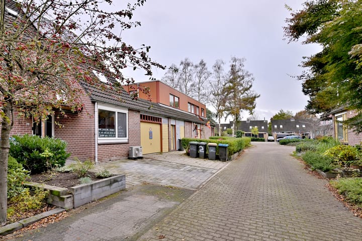 Foto 34 van Vlaamse gaai 6