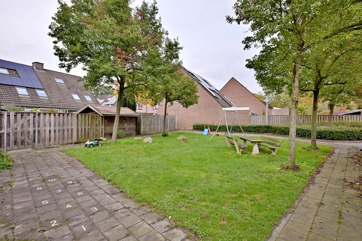 Foto 36 van Vlaamse gaai 6