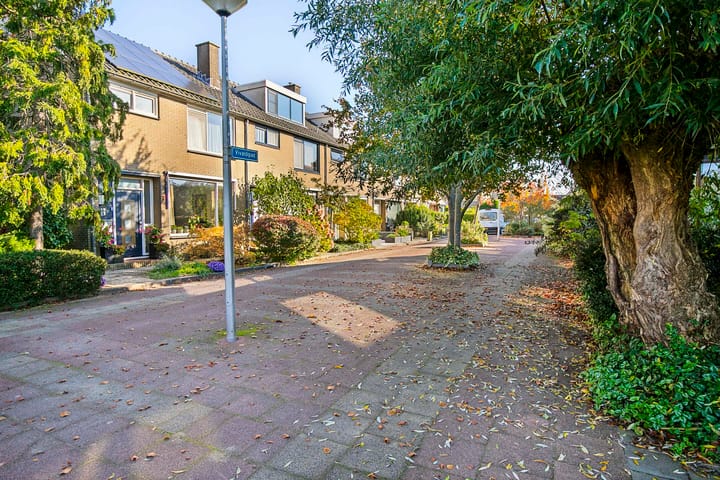 Foto 34 van Vivaldipad 7