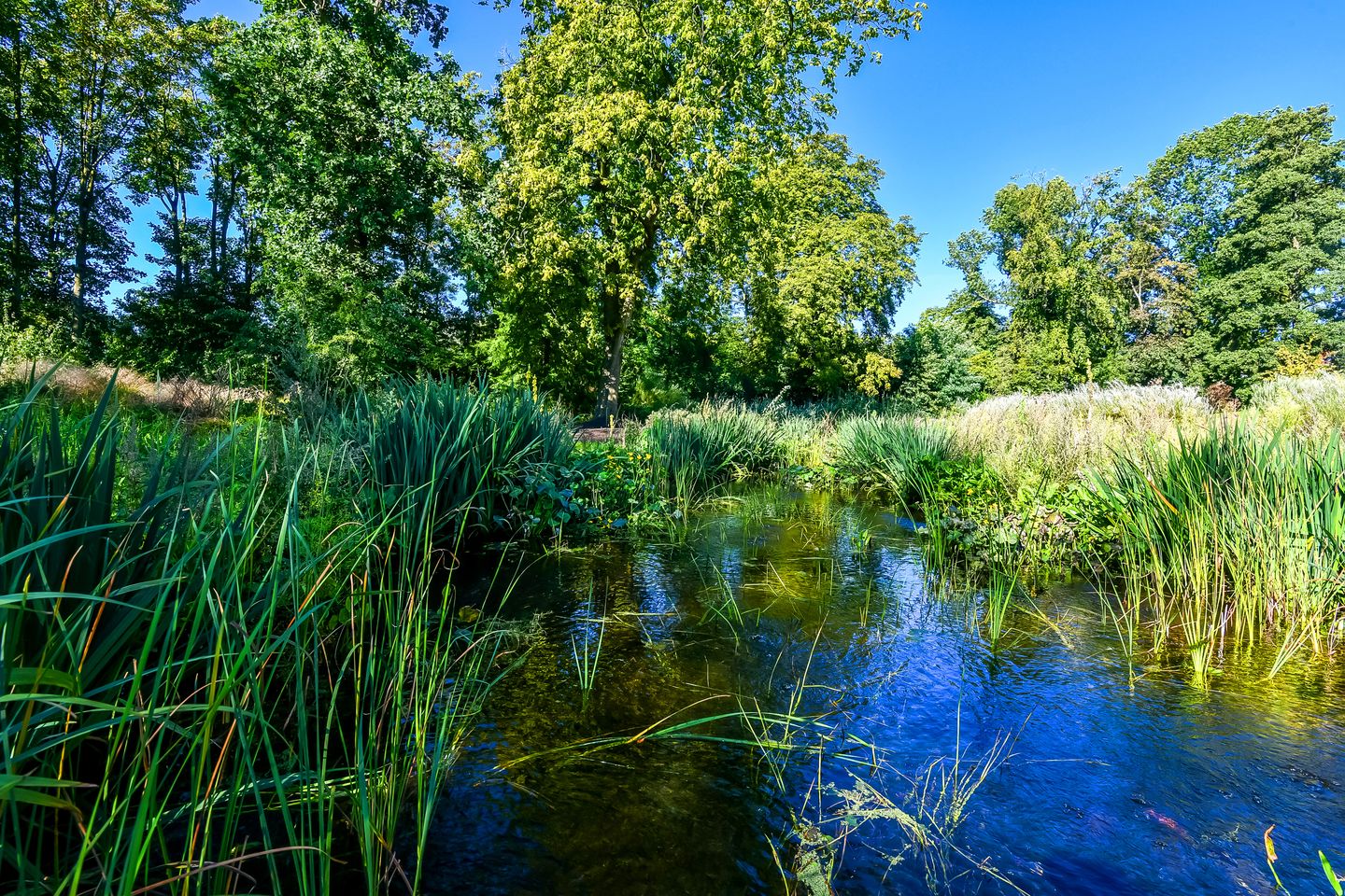 Photo 25 of Klingelbeek 30-4