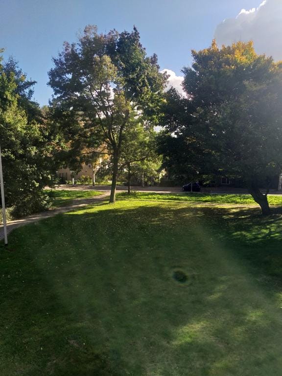 Foto 26 van Burgemeester D. Kooimanweg 907