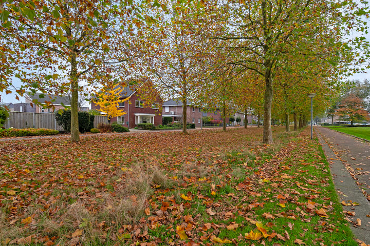 Foto 35 van Staringstraat 2