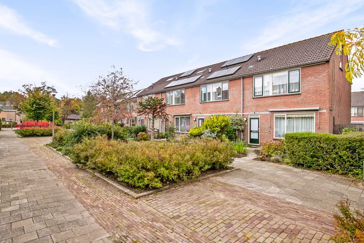 Foto 2 van Scheldeplein 40