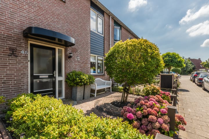 Foto 5 van Delving 45