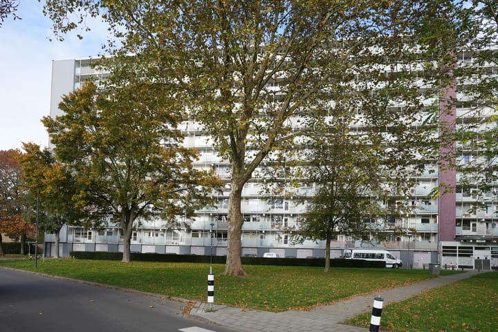 Foto 47 van Eisenhowerstraat 674