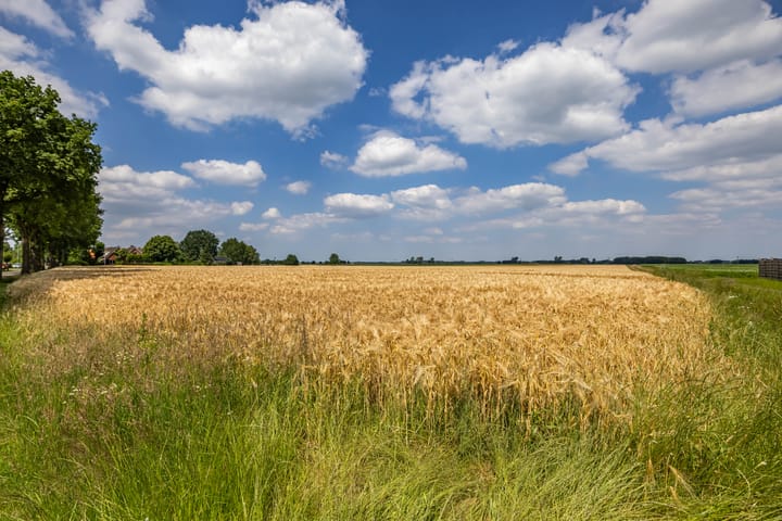 Foto 47 van Annerstreek 62