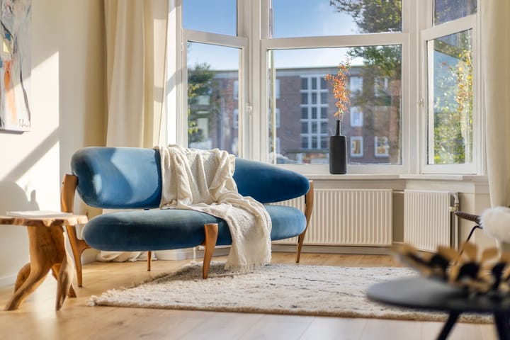 Foto 2 van Johan de Wittlaan 235