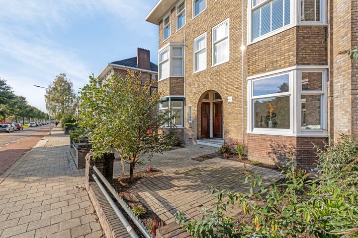 Photo 7 of Johan de Wittlaan 235