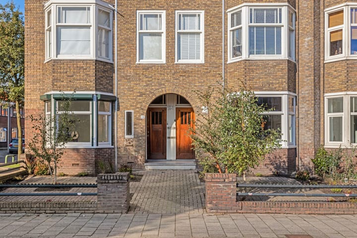 Photo 8 of Johan de Wittlaan 235