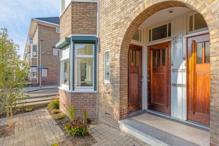 Photo 12 of Johan de Wittlaan 235