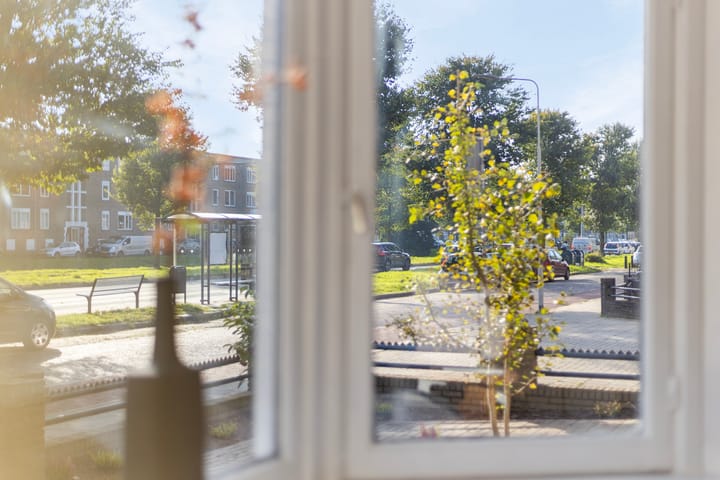 Photo 19 of Johan de Wittlaan 235