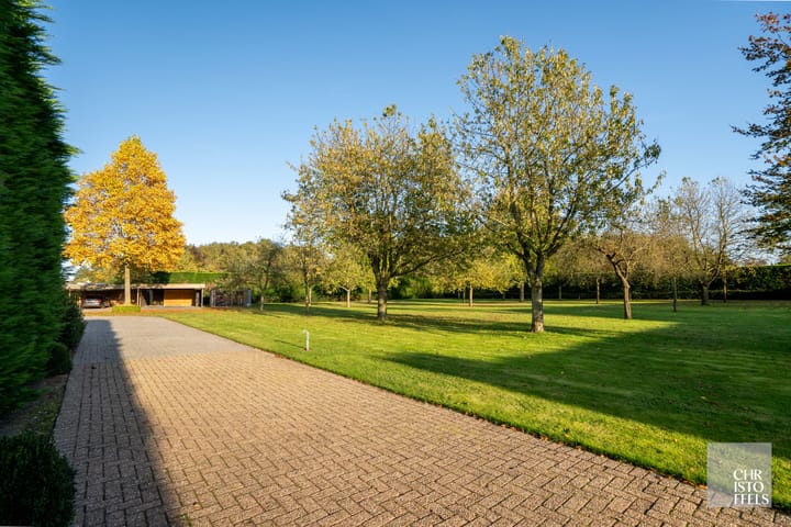 Photo 36 of Weg naar Zwartberg 227-AB