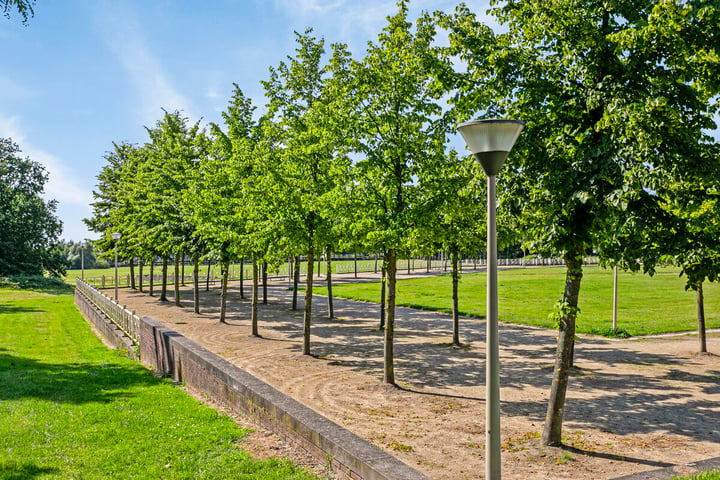 Bekijk foto 45 van Scheldelaan 3