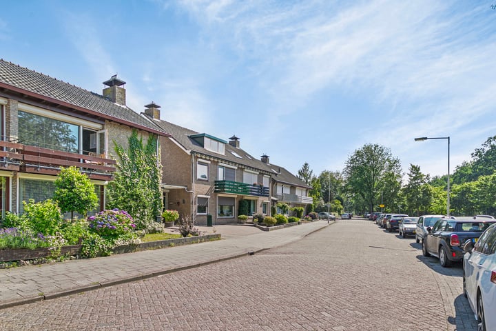 Bekijk foto 47 van Scheldelaan 3