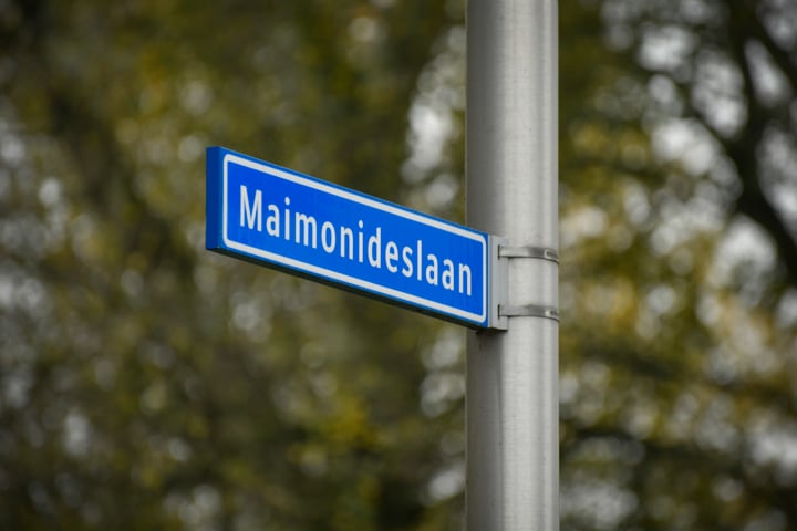 Bekijk foto 20 van Maimonideslaan 139