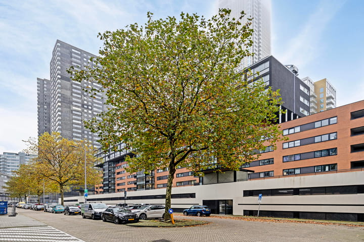 Foto 25 van Gedempte Zalmhaven 933