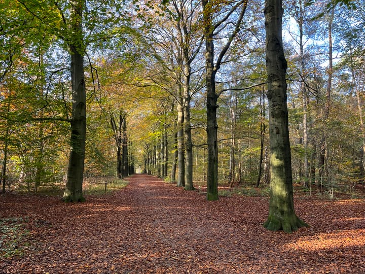 Foto 38 van Oude Postweg 170