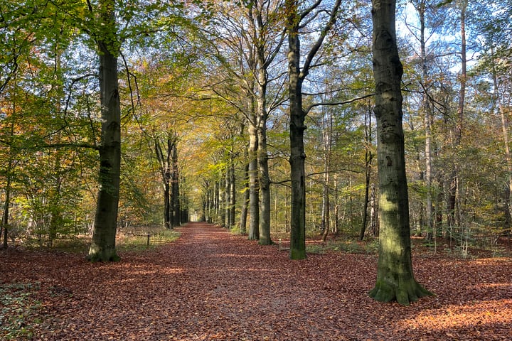 Bekijk foto 38 van Oude Postweg 170