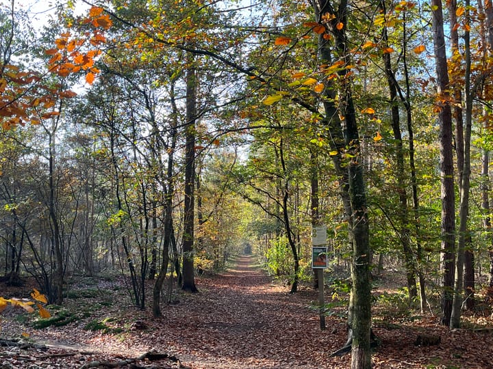 Foto 39 van Oude Postweg 170