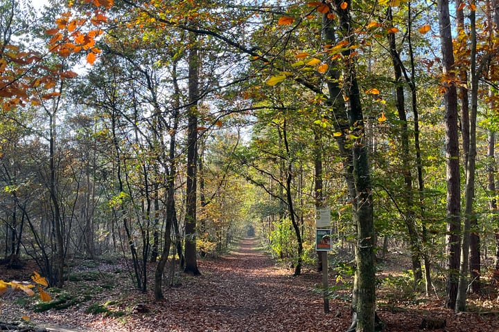 Bekijk foto 39 van Oude Postweg 170