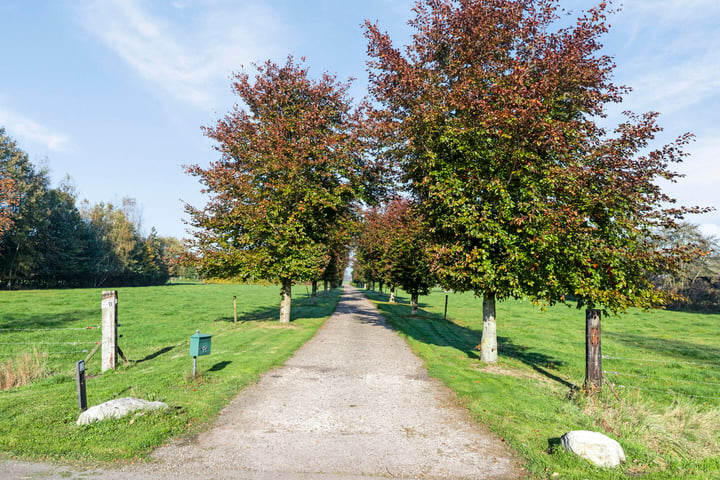 Bekijk foto 2 van Noordwolderweg 13