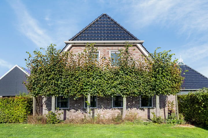 Foto 5 van Noordwolderweg 13