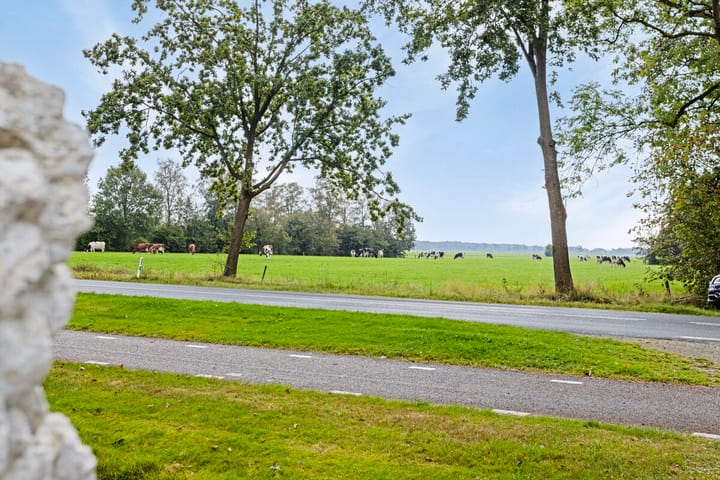 Photo 56 of 't West 44