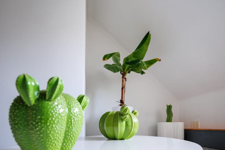 Photo 37 of Schenck van Nijdeggenstraat 2