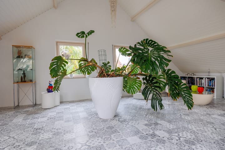 Photo 45 of Schenck van Nijdeggenstraat 2