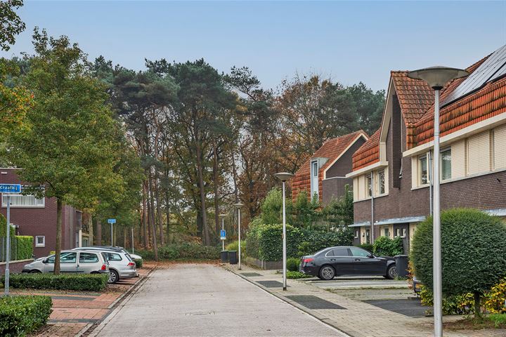 Bekijk foto 35 van Honingbij 21