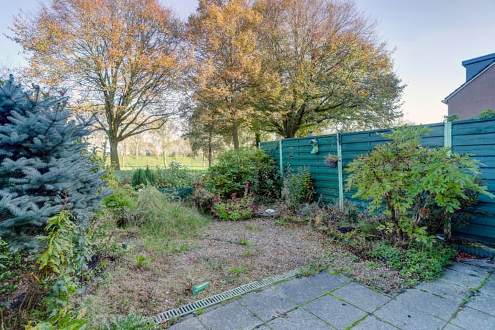 Foto 25 van Westerzicht 357