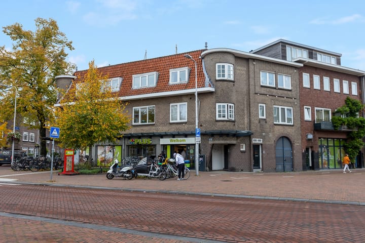 Foto 31 van Adriaen van Ostadelaan 64-BSA