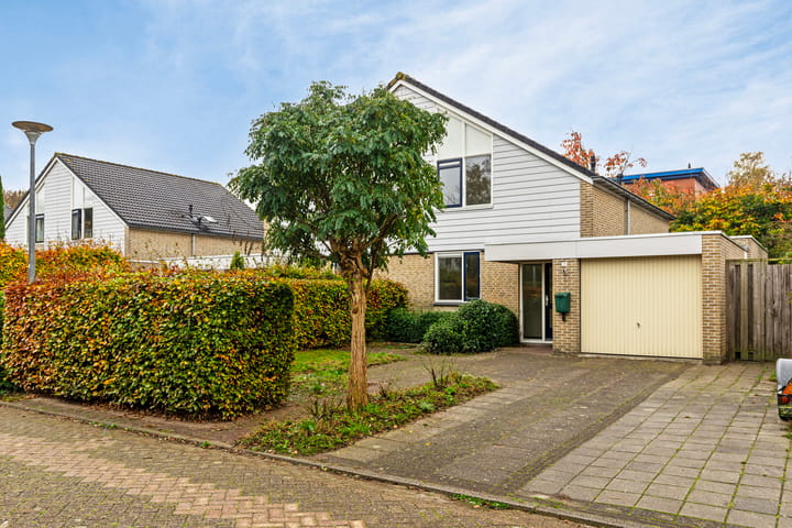 Foto 2 van Diezestraat 11