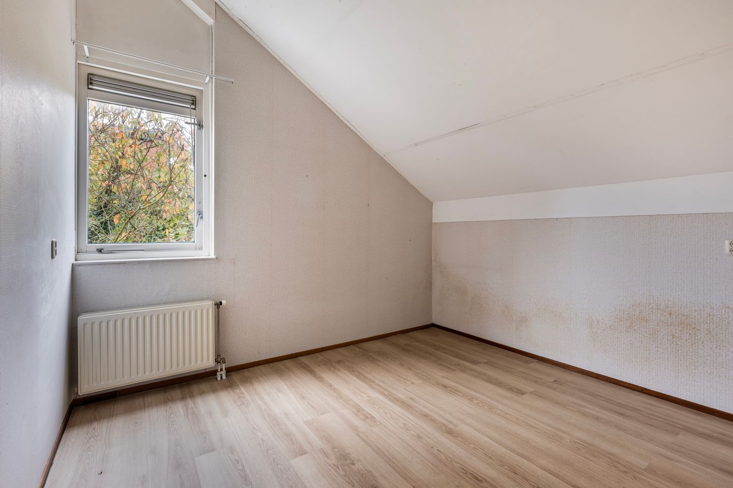 Foto 20 van Diezestraat 11