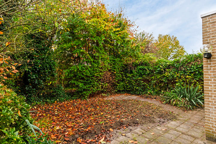 Foto 25 van Diezestraat 11