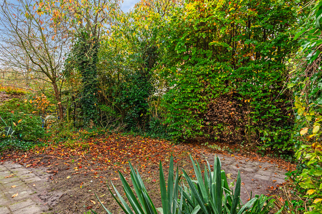 Foto 26 van Diezestraat 11