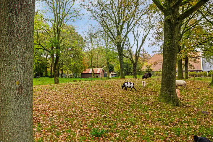 Foto 33 van Diezestraat 11