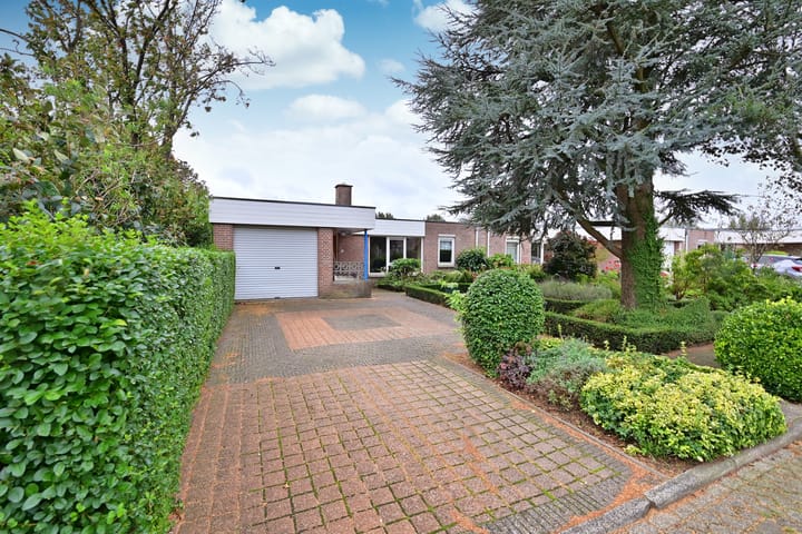 Foto 1 van Honingbij 32