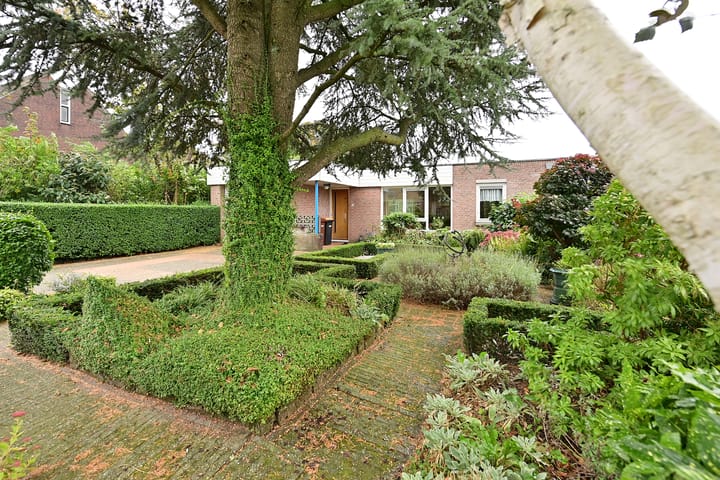 Foto 2 van Honingbij 32