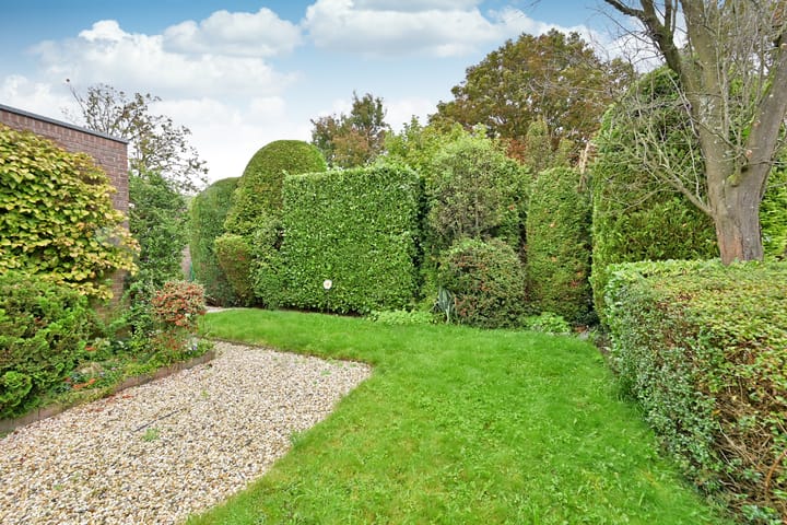 Foto 4 van Honingbij 32