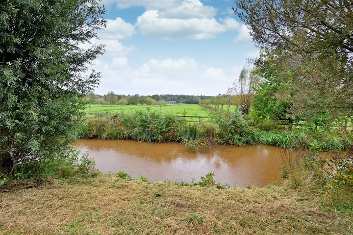 Foto 5 van Honingbij 32