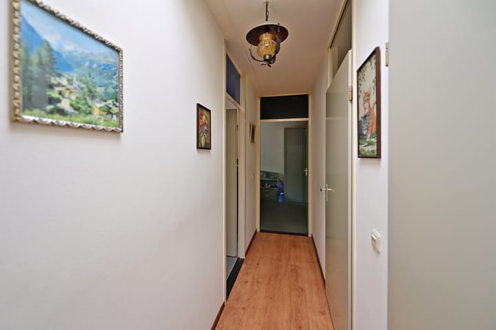 Foto 10 van Honingbij 32