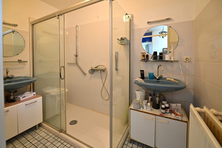 Foto 13 van Honingbij 32