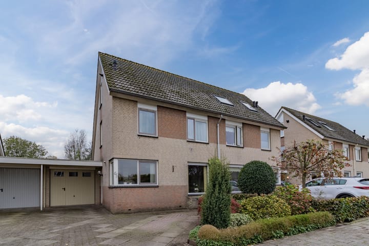 Foto 3 van De Werf 65