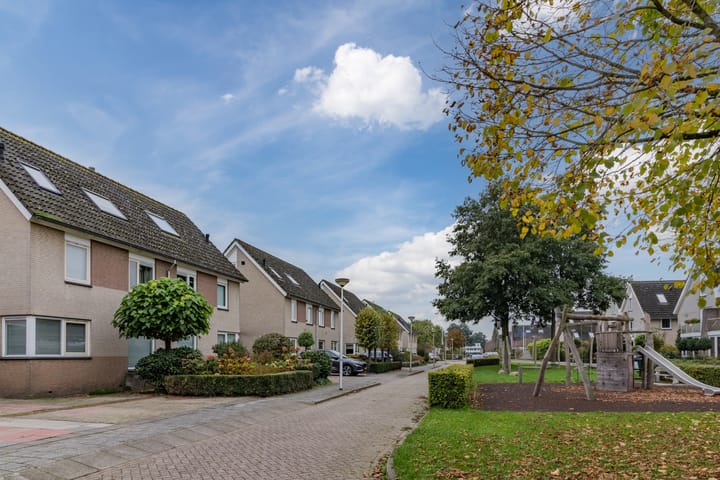 Foto 43 van De Werf 65