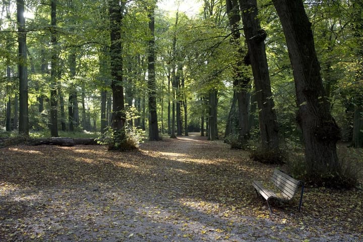 Foto 45 van Wagenweg 164-C