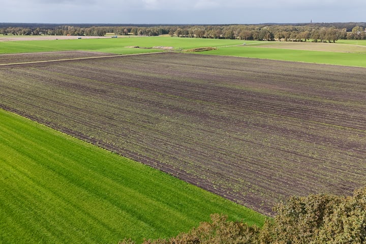 Bekijk foto 46 van Oostereind 19